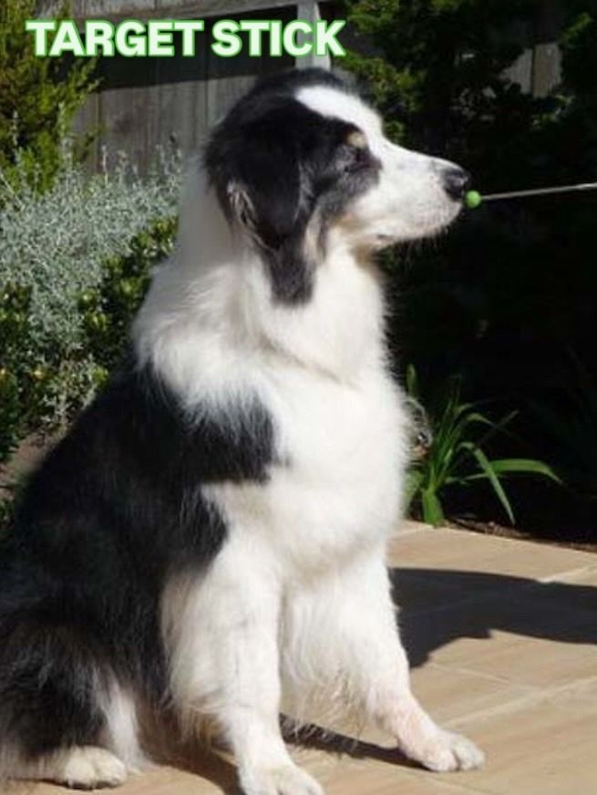 Target Stick